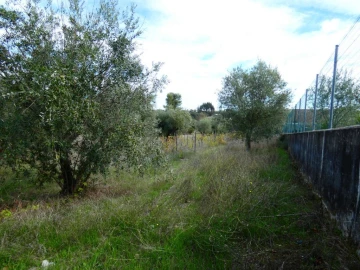 Terreno Agricola ou Rústico para Venda em Nossa Senhora da Graça de Povoa e Meadas