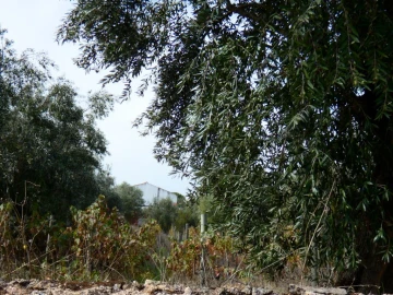 Terreno Agricola ou Rústico para Venda em Nossa Senhora da Graça de Povoa e Meadas