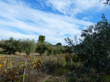 Terreno Agricola ou Rústico para Venda em Nossa Senhora da Graça de Povoa e Meadas