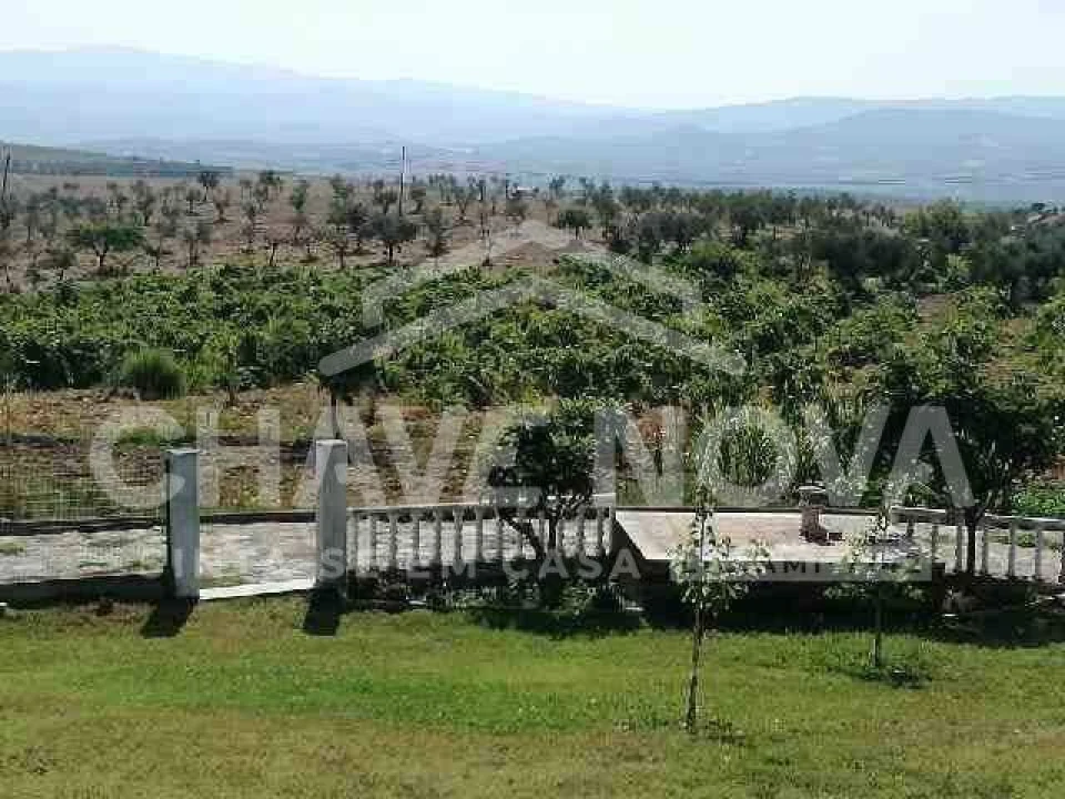 Quinta T4 para Venda em Lamas de Orelhão Foto 4