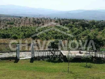 Quinta T4 para Venda em Lamas de Orelhão