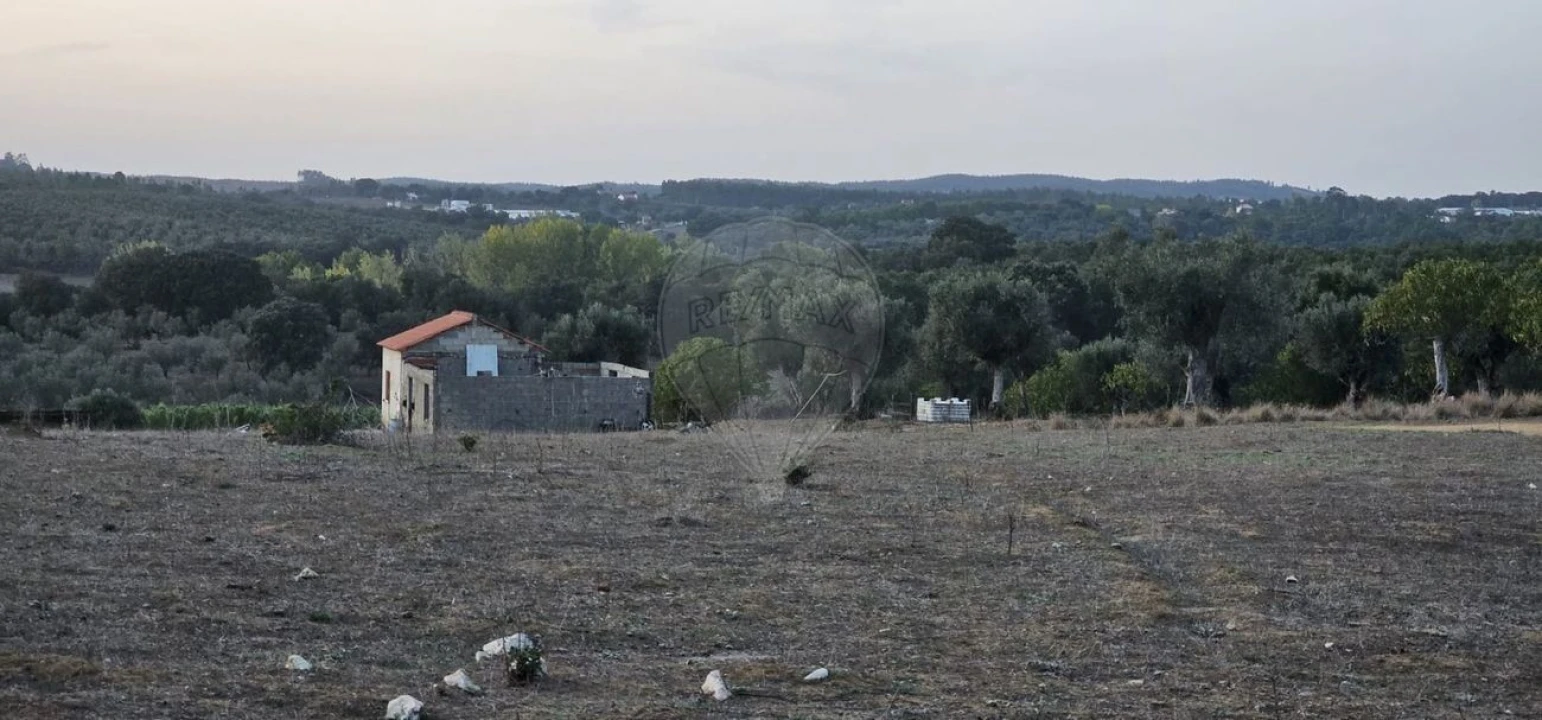 Terreno Agricola ou Rústico para Venda em Abrantes (São Vicente e São João) e Alferrarede Foto 10