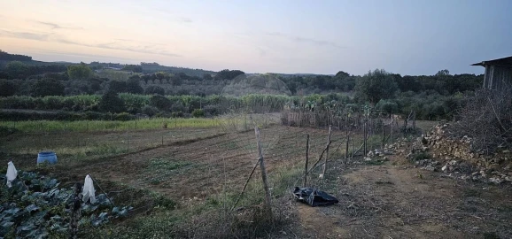 Terreno Agricola ou Rústico para Venda em Abrantes (São Vicente e São João) e Alferrarede