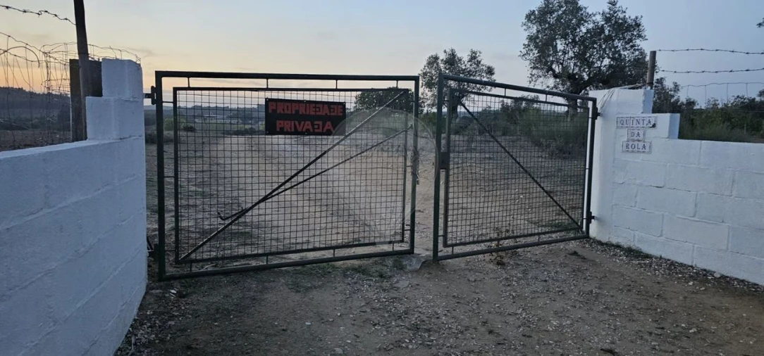 Terreno Agricola ou Rústico para Venda em Abrantes (São Vicente e São João) e Alferrarede Foto 2