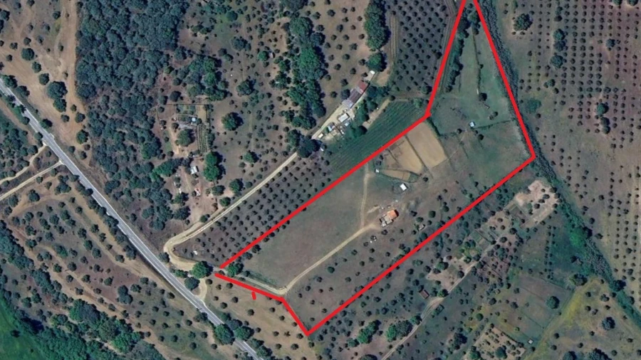 Terreno Agricola ou Rústico para Venda em Abrantes (São Vicente e São João) e Alferrarede