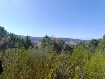 Terreno Agricola ou Rústico para Venda em São Salvador da Aramenha