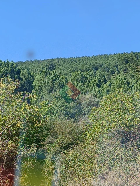 Terreno Agricola ou Rústico para Venda em São Salvador da Aramenha