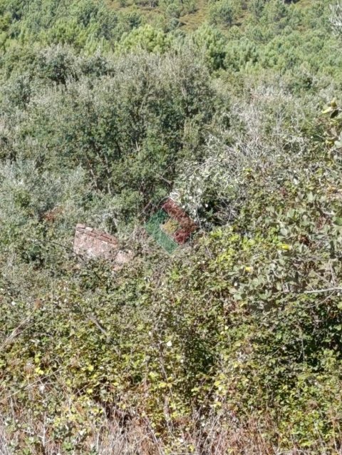 Terreno Agricola ou Rústico para Venda em São Salvador da Aramenha