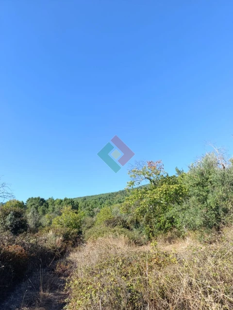 Terreno Agricola ou Rústico para Venda em São Salvador da Aramenha