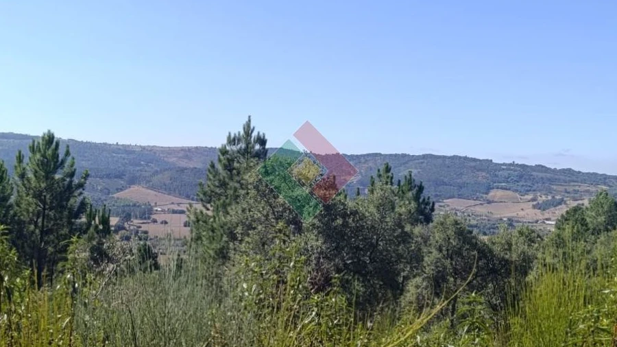 Terreno Agricola ou Rústico para Venda em São Salvador da Aramenha