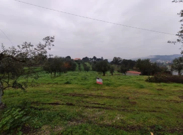 Terreno Agricola ou Rústico para Venda em Atouguia