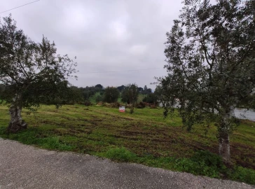 Terreno Agricola ou Rústico para Venda em Atouguia