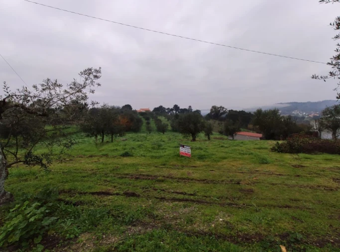 Terreno Agricola ou Rústico para Venda em Atouguia Foto 2