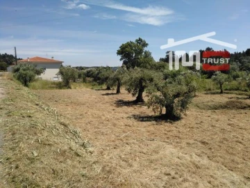 Terreno Misto para Venda em Nossa Senhora da Piedade