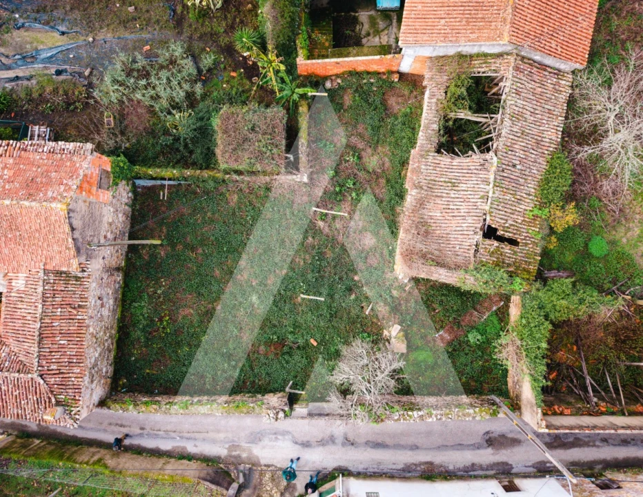 Terreno para Venda em São Miguel de Poiares Foto 1