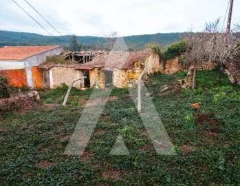 Terreno para Venda em São Miguel de Poiares