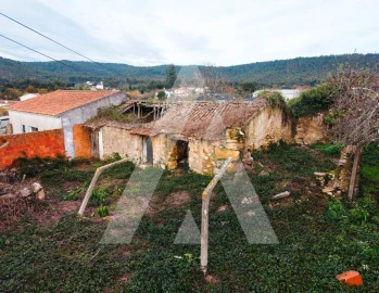 Terreno para Venda em São Miguel de Poiares