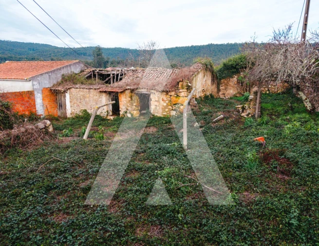 Terreno para Venda em São Miguel de Poiares Foto 3