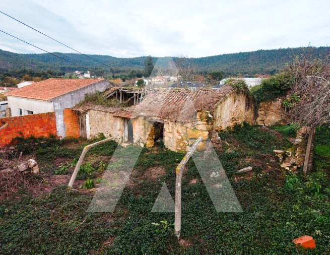 Terreno para Venda em São Miguel de Poiares Foto 4