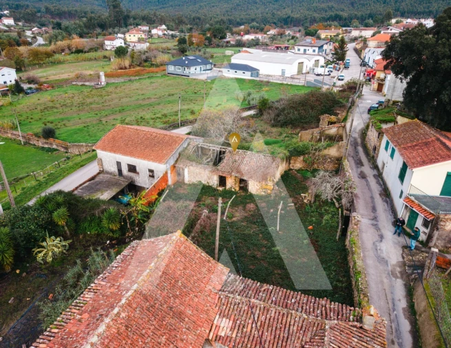 Terreno para Venda em São Miguel de Poiares Foto 2