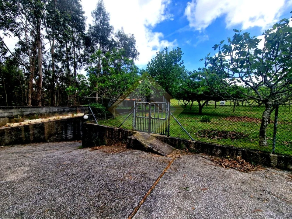 Quinta T0 para Venda em Canedo, Vale e Vila Maior Foto 6