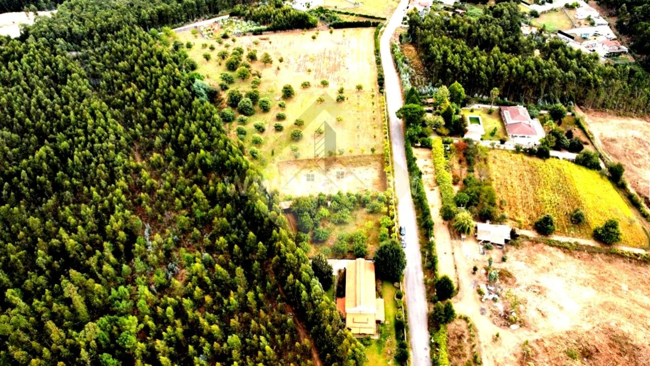 Quinta T0 para Venda em Canedo, Vale e Vila Maior Foto 10