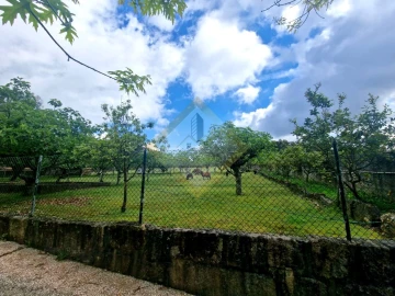 Quinta T0 para Venda em Canedo, Vale e Vila Maior