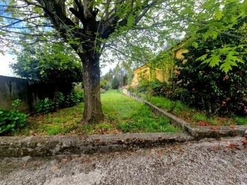Quinta T0 para Venda em Canedo, Vale e Vila Maior