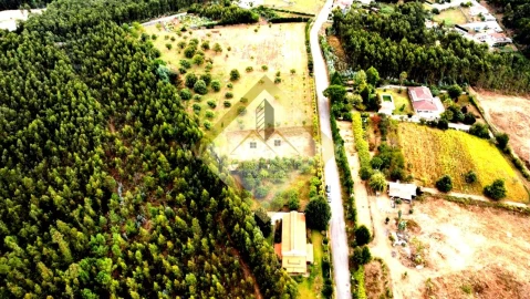 Quinta T0 para Venda em Canedo, Vale e Vila Maior