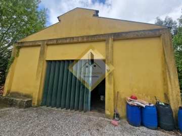 Quinta T0 para Venda em Canedo, Vale e Vila Maior