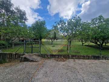 Quinta T0 para Venda em Canedo, Vale e Vila Maior