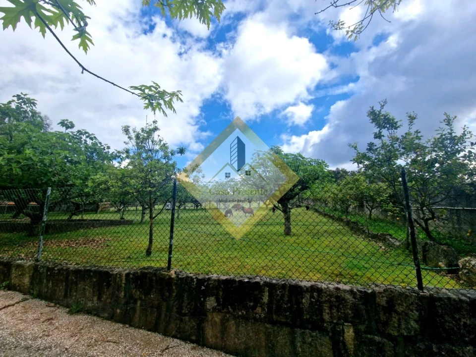 Quinta T0 para Venda em Canedo, Vale e Vila Maior Foto 8