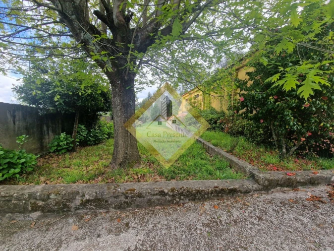Quinta T0 para Venda em Canedo, Vale e Vila Maior Foto 12