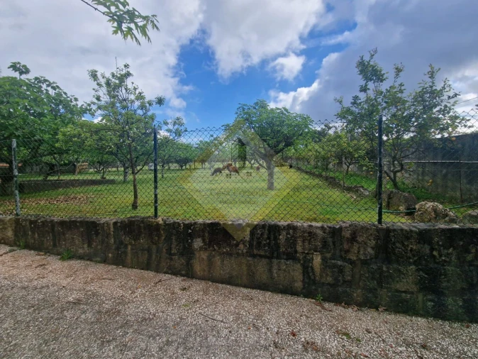 Quinta T0 para Venda em Canedo, Vale e Vila Maior Foto 9