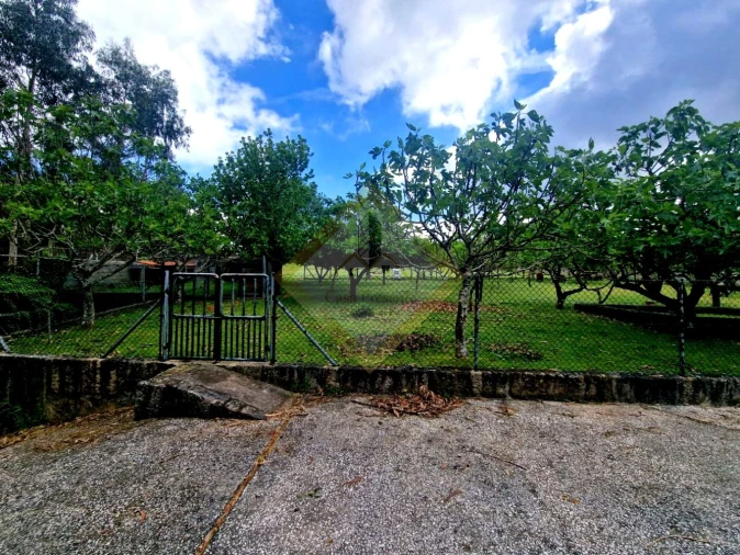 Quinta T0 para Venda em Canedo, Vale e Vila Maior Foto 7
