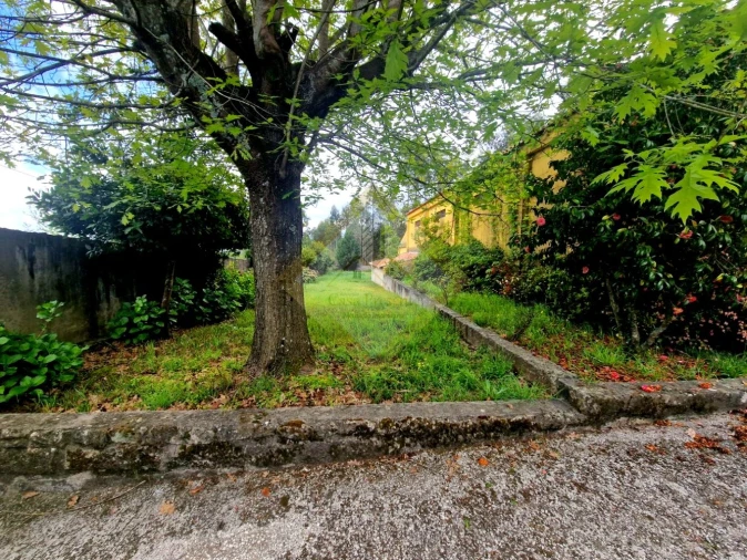 Quinta T0 para Venda em Canedo, Vale e Vila Maior Foto 5