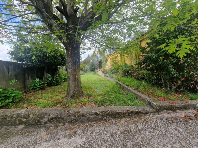 Quinta T0 para Venda em Canedo, Vale e Vila Maior Foto 12