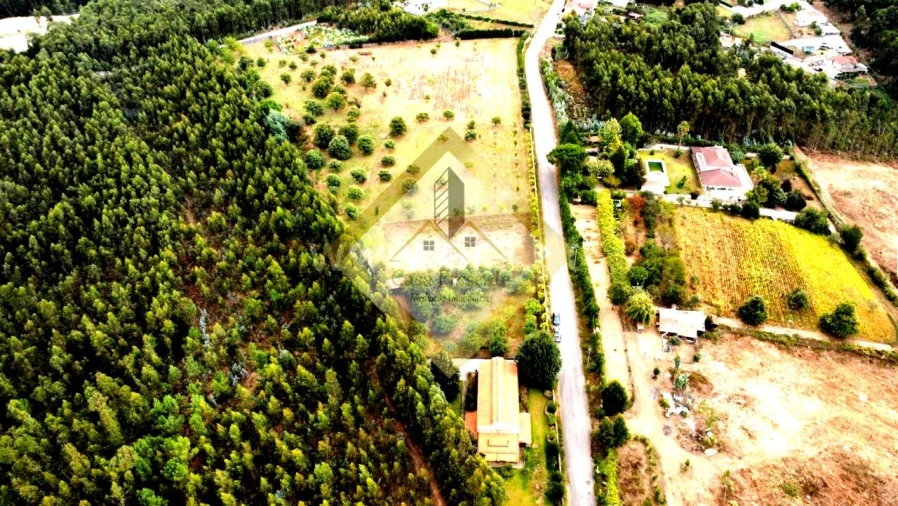 Quinta T0 para Venda em Canedo, Vale e Vila Maior Foto 10