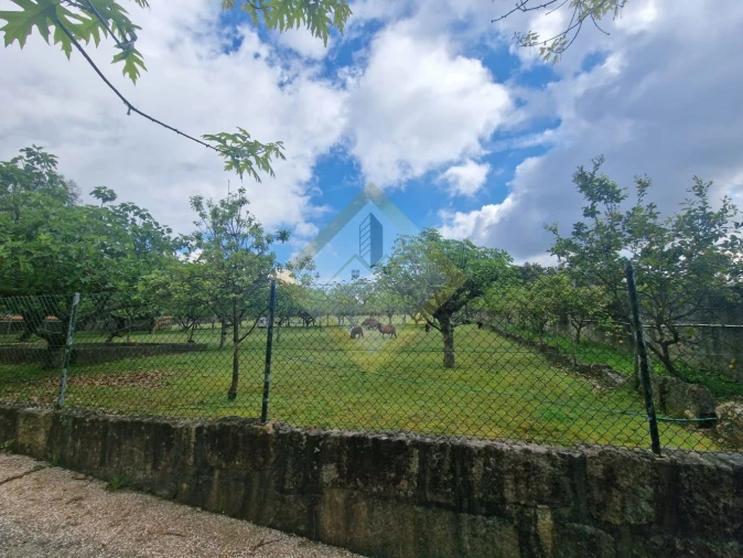Quinta T0 para Venda em Canedo, Vale e Vila Maior Foto 18