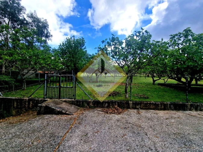 Quinta T0 para Venda em Canedo, Vale e Vila Maior Foto 7