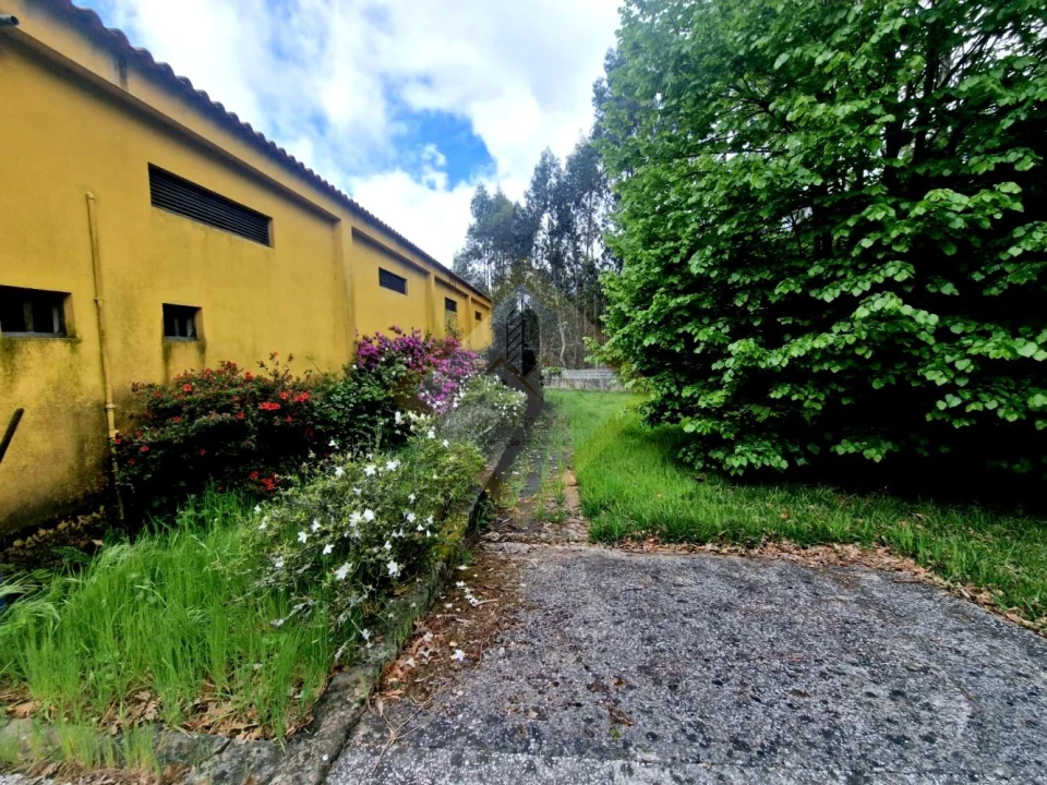 Quinta T0 para Venda em Canedo, Vale e Vila Maior Foto 2