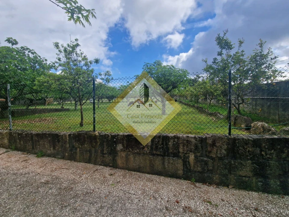 Quinta T0 para Venda em Canedo, Vale e Vila Maior Foto 19