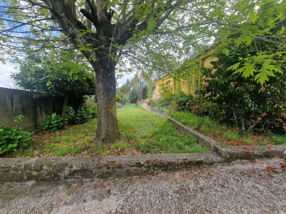 Quinta T0 para Venda em Canedo, Vale e Vila Maior Foto 12