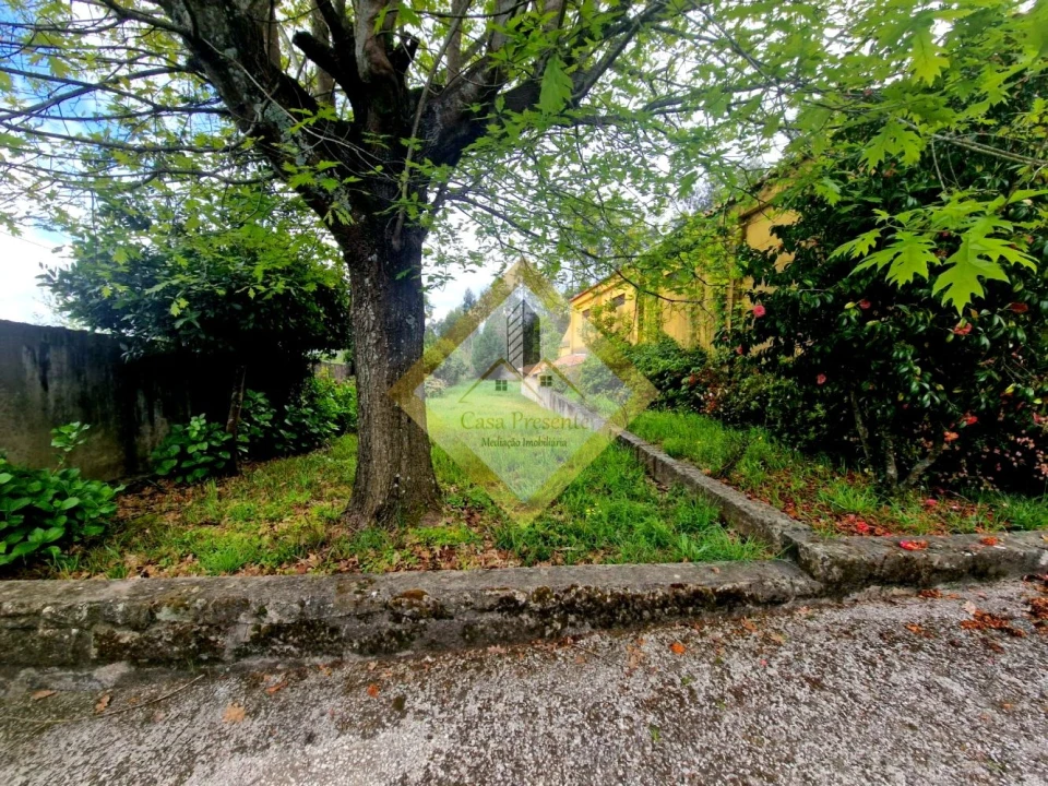 Quinta T0 para Venda em Canedo, Vale e Vila Maior Foto 5