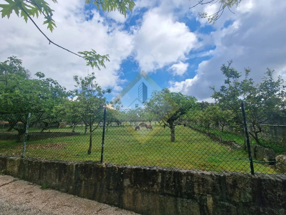 Quinta T0 para Venda em Canedo, Vale e Vila Maior Foto 18
