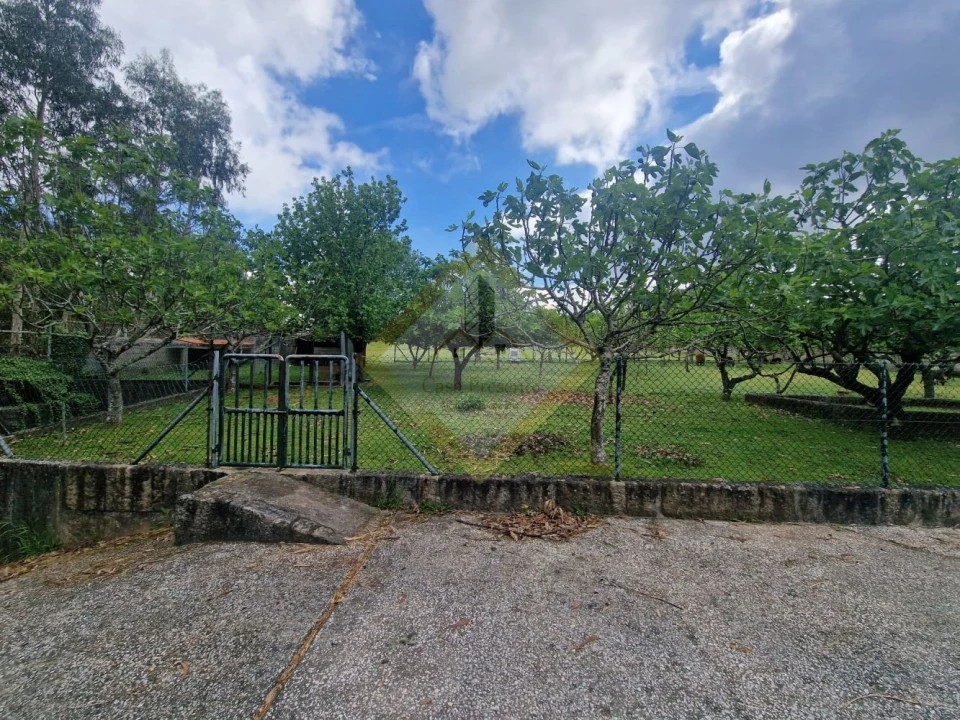 Quinta T0 para Venda em Canedo, Vale e Vila Maior Foto 17