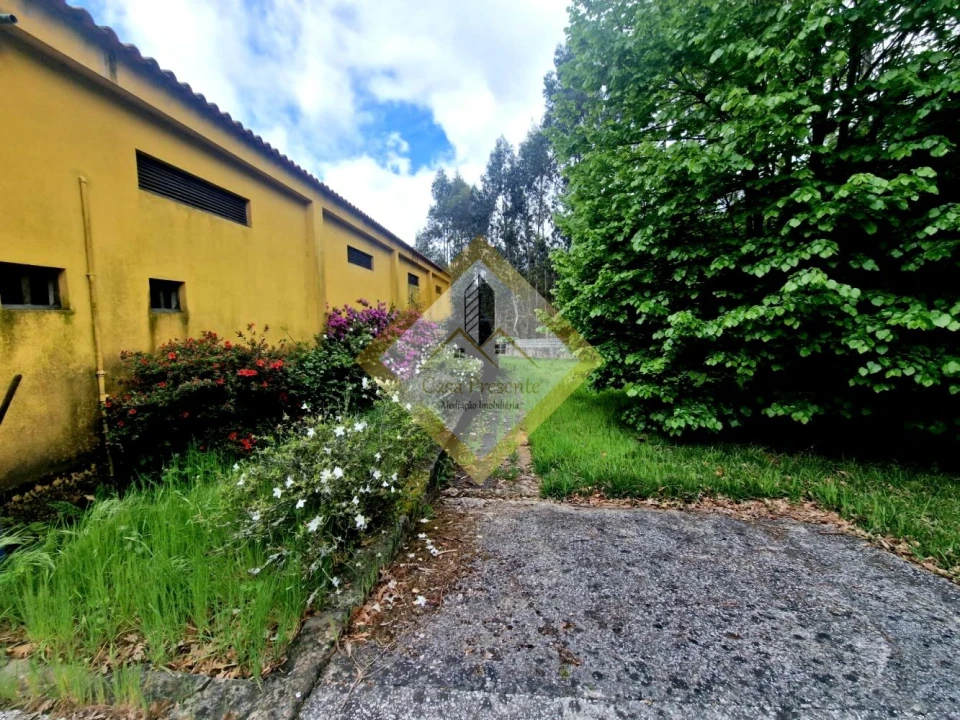 Quinta T0 para Venda em Canedo, Vale e Vila Maior Foto 2