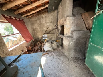 Moradia T3 para Venda em Ninho do Açor e Sobral do Campo