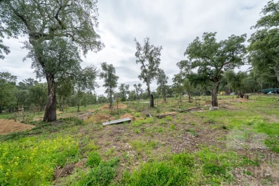 Moradia T2 para Venda em Monchique