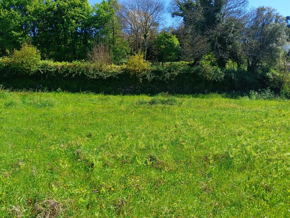 Terreno para Venda em Cornes Foto 6
